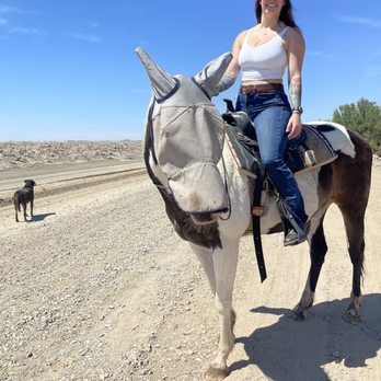 Horse Riding in Yuma Arizona