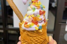 Ice Cream Places in Brownsville Texas