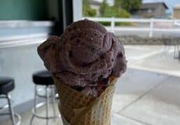 Ice Cream Places in Everett Washington