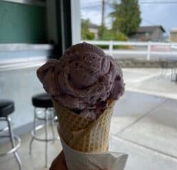 Ice Cream Places in Everett Washington