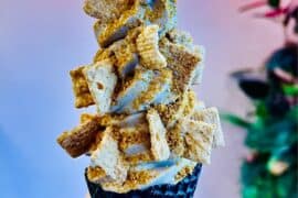 Ice Cream Places in Kent Washington