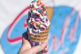 Ice Cream Places in Lodi California