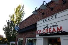 Ice Cream Places in Redmond Washington