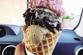 Ice Cream Places in Roswell Georgia