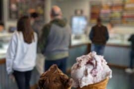 Ice Cream Places in Shawnee Kansas