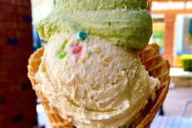 Ice Cream Places in Thousand Oaks California