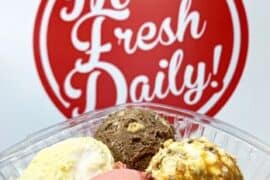 Ice Cream Places in Vista California