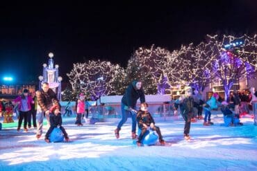 Ice Skating in Albany Georgia