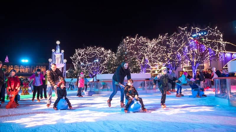 Ice Skating in Albany Georgia