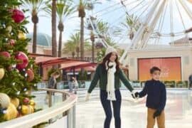 Ice Skating in Hemet California