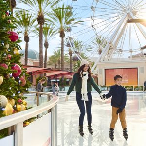 Ice Skating in Hemet California