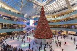 Ice Skating in Irving Texas