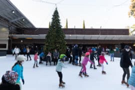 Ice Skating in Palo Alto California