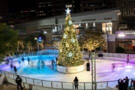 Ice Skating in Phoenix Arizona