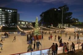 Ice Skating in San Mateo California