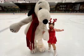 Ice Skating in Santa Rosa California