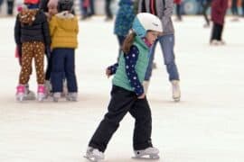 Ice Skating in Warner Robins Georgia