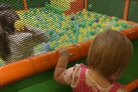 Indoors Playgrounds in Auburn Washington