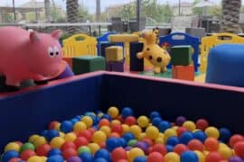 Indoors Playgrounds in Carson California