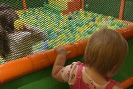 Indoors Playgrounds in Kent Washington