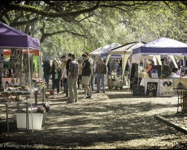 Markets in Albany Georgia