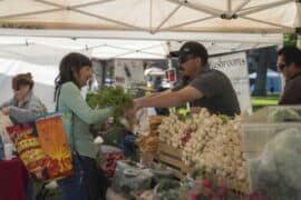 Markets in Albuquerque New Mexico