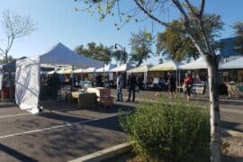 Markets in Gilbert Town Arizona