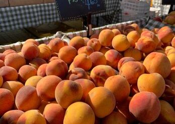 Markets in Palo Alto California