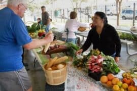 Markets in Pharr Texas