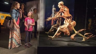 Museums in Cedar Park Texas