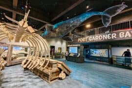 Museums in Everett Washington