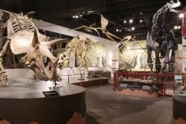 Museums in Mesa Arizona