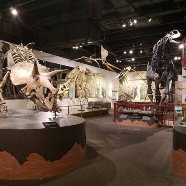 Museums in Mesa Arizona