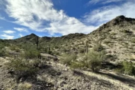 National Parks in Avondale Arizona