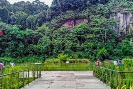 National Parks in Bukit Panjang