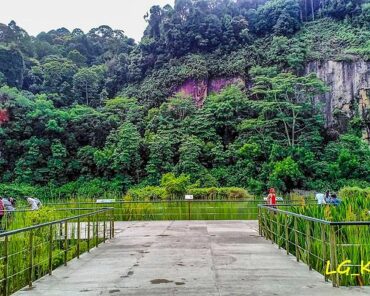 National Parks in Bukit Panjang