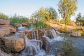 National Parks in Chandler Arizona