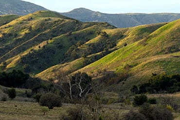 National Parks in Chino California