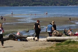 National Parks in Federal Way Washington