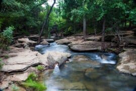 National Parks in Flower Mound town, Texas