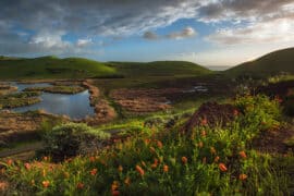 National Parks in Fremont California