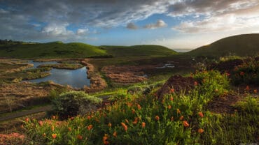 National Parks in Fremont California