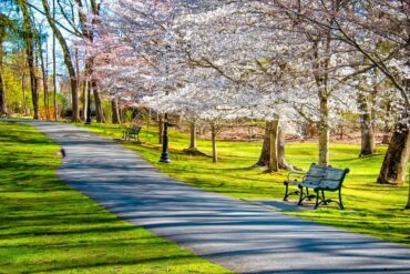 National Parks in Garden Grove California