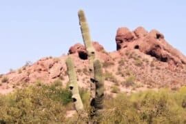 National Parks in Glendale Arizona