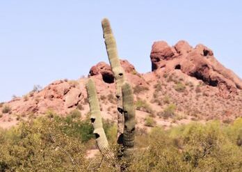 National Parks in Glendale Arizona