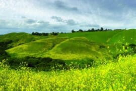 National Parks in Hayward California