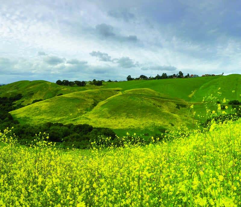 National Parks in Hayward California