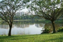 National Parks in Hougang