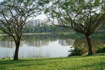 National Parks in Hougang