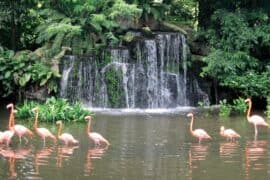 National Parks in Jurong East